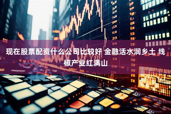 现在股票配资什么公司比较好 金融活水润乡土 线椒产业红满山