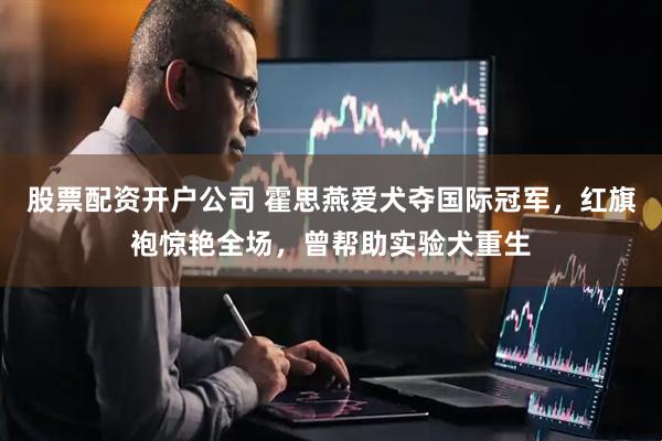 股票配资开户公司 霍思燕爱犬夺国际冠军，红旗袍惊艳全场，曾帮助实验犬重生